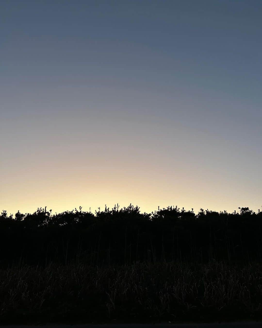 藤田敦子のインスタグラム：「ㅤ お天気がいい日の夕方のこの影が好き。  #sunset #miyazaki #kisakihama #宮崎 #blendaTravelmemoir #blendaTravelmemoir2023 #Travelmemoir」