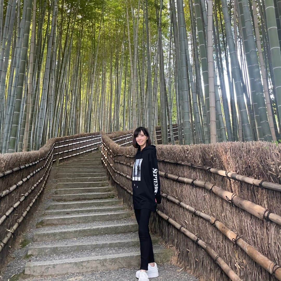 角川慶子さんのインスタグラム写真 - (角川慶子Instagram)「私が歓喜を上げるくらい良くて震えました。 ただ、女子以外には響かないと思う。」11月4日 14時52分 - keikokadokawa