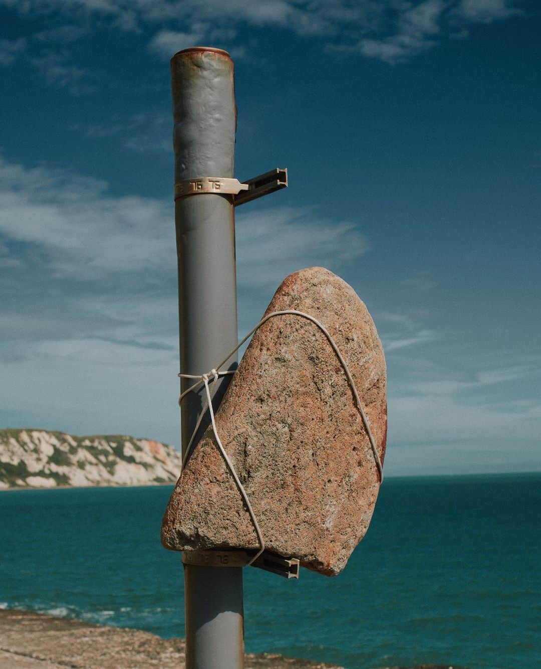 エステルデヴェのインスタグラム：「An image by Lisa Jahovic @lisa_jahovic for our "Carte Blanche" series.」