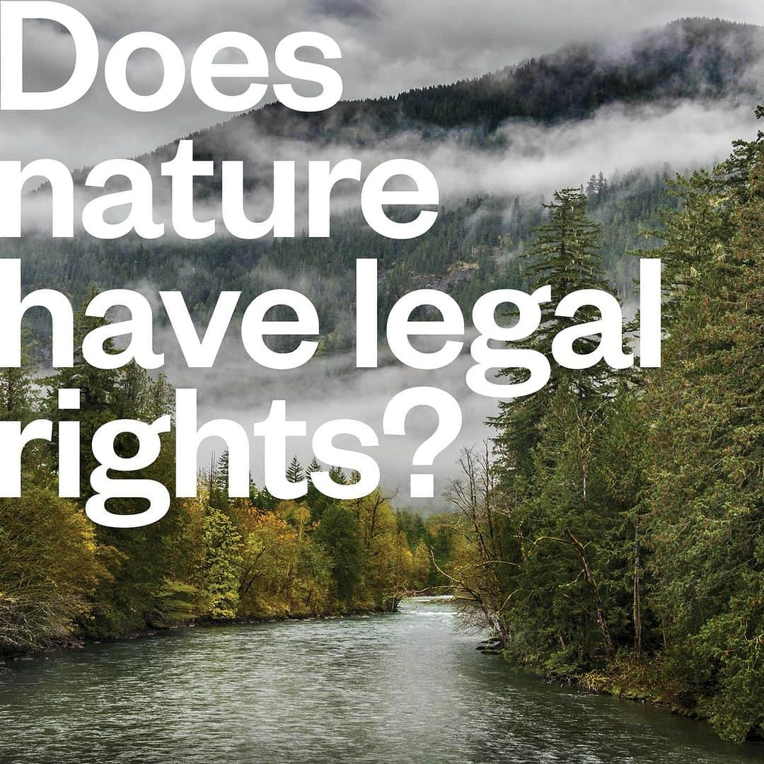 patagoniaのインスタグラム：「What happens when salmon take the witness stand? In a recent lawsuit, the Sauk-Suiattle Tribe sued the city of Seattle on behalf of Skagit River salmon, seeking acknowledgement that the city’s three hydropower dams on the river infringed upon the fish’s “inherent rights to exist, flourish, regenerate … and the right of access to their ancestral waters.”   Read more at the link in bio.  Photos: Edmund Lowe, Eiko Jones」