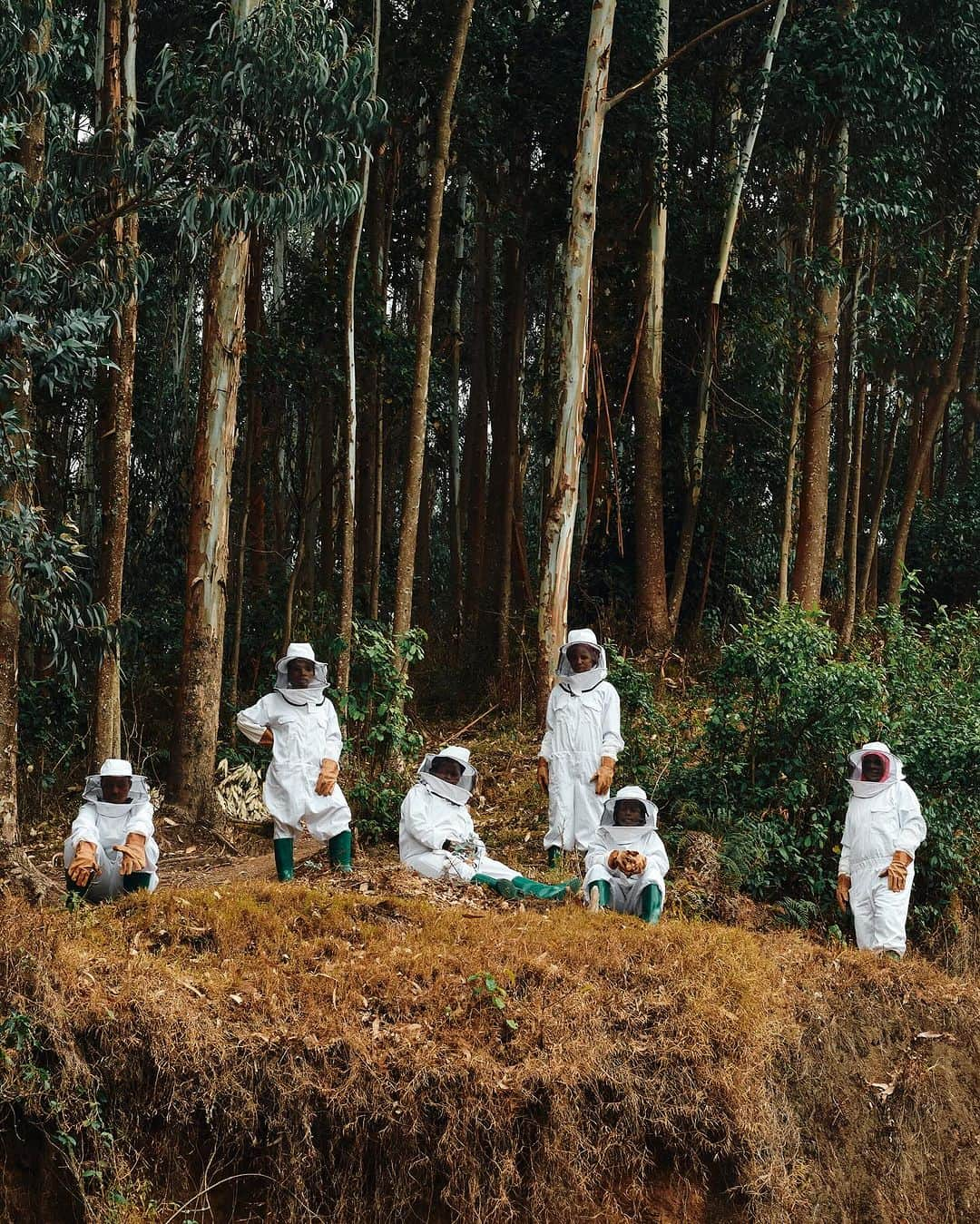 ゲランのインスタグラム：「Following sessions in France and Cambodia with partner @UNESCO alongside local nonprofit initiatives hosted in Mexico, Italy, and Spain, Guerlain’s #WomenForBees has expanded to Rwanda.   33 trainees from Gishwati-Mukura Landscape Biosphere Reserve participated in an intense six-month training programme, focusing on modern beekeeping techniques. The women’s new skills will serve as a path toward financial autonomy, helping to support their families and preserve local ecosystems and promoting awareness of the important role the bee plays in nature.  —— Photographer: Tracy Keza #GuerlainForBees #WomenForBees #Rwanda #Bees #SaveTheBees」