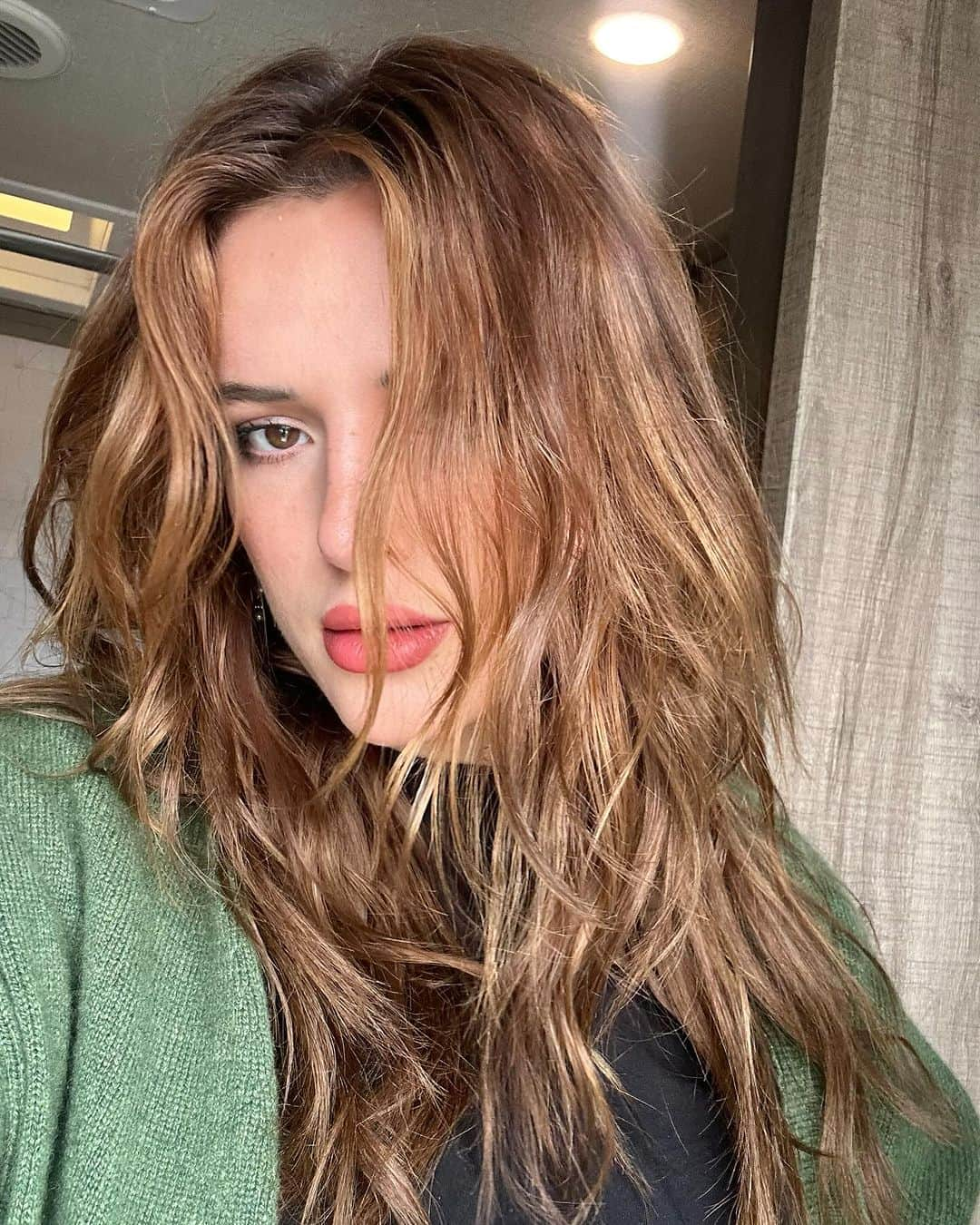 ベラ・ゾーンさんのインスタグラム写真 - (ベラ・ゾーンInstagram)「Since everyone is going red I went brown 🫣🤭🤫」11月5日 3時02分 - bellathorne