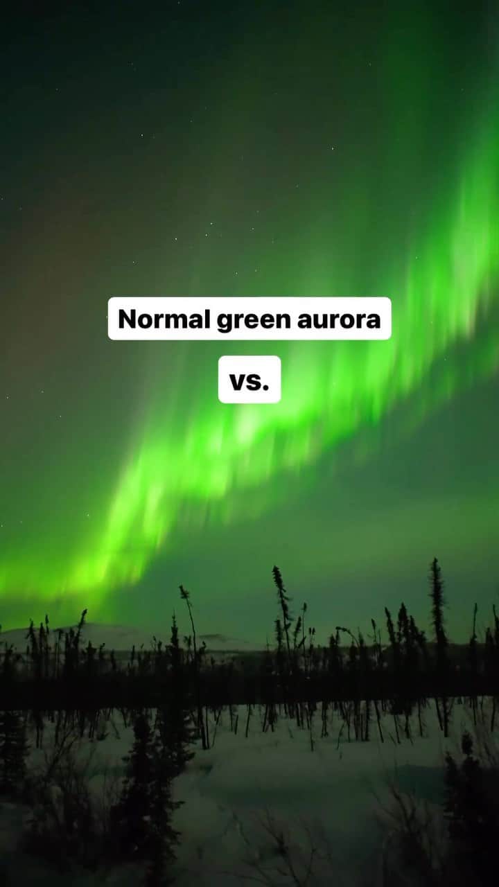 Live To Exploreのインスタグラム：「Discovering the deepest reds in Aurora via @vincentledvina! 😍  💡The rare blood red aurora, also known as a stable auroral red (SAR) arc, is a type of aurora that is red in color. It is caused by the interaction of high-energy electrons from the solar wind with oxygen atoms in the Earth’s upper atmosphere. The electrons excite the oxygen atoms, causing them to emit red light.   Spread the travel inspiration by sharing this post with your fellow explorers!😍  🎥: @vincentledvina 📍: Arctic Circle, Alaska」