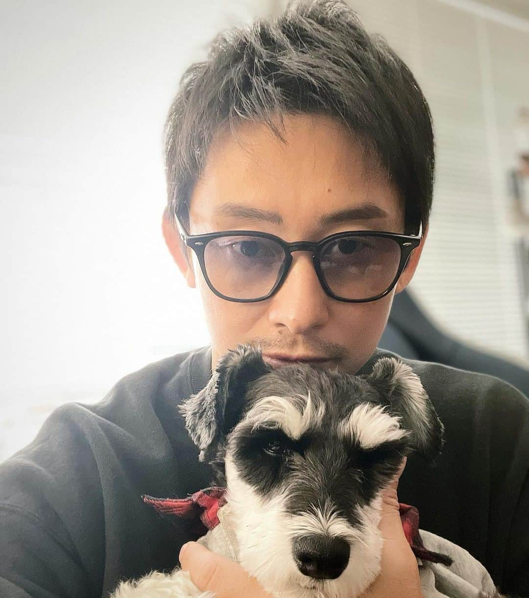 吉永啓之輔さんのインスタグラム写真 - (吉永啓之輔Instagram)「相棒ラッド🐶元気になりました✌️ 沢山のコメントありがとう」11月4日 18時32分 - keinosuke91