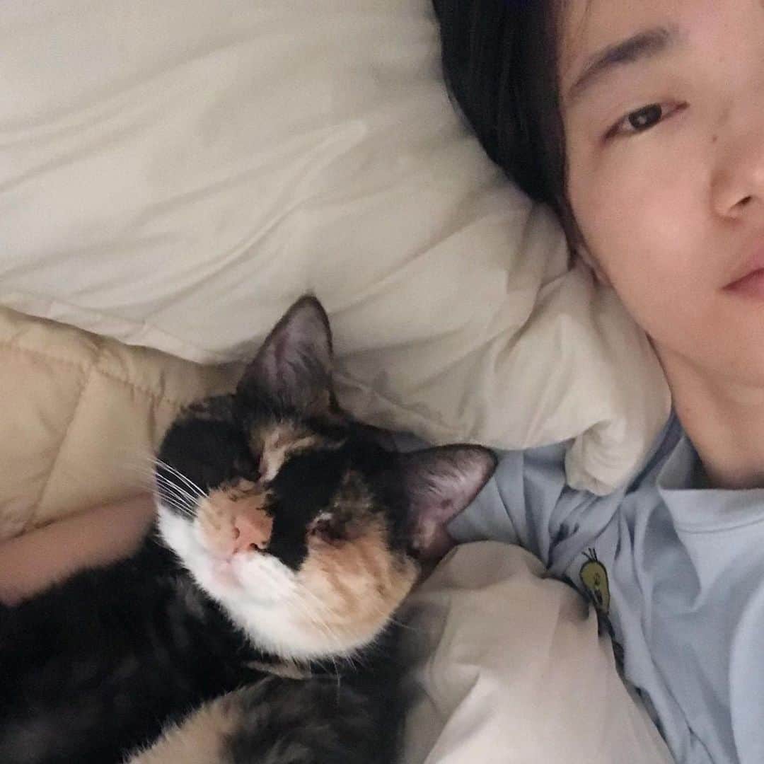 ソン・スヒョンのインスタグラム：「아침에 일어나니 삼삼이가 내 팔을 베고 누워있었고 행복하게 기상했다😌」