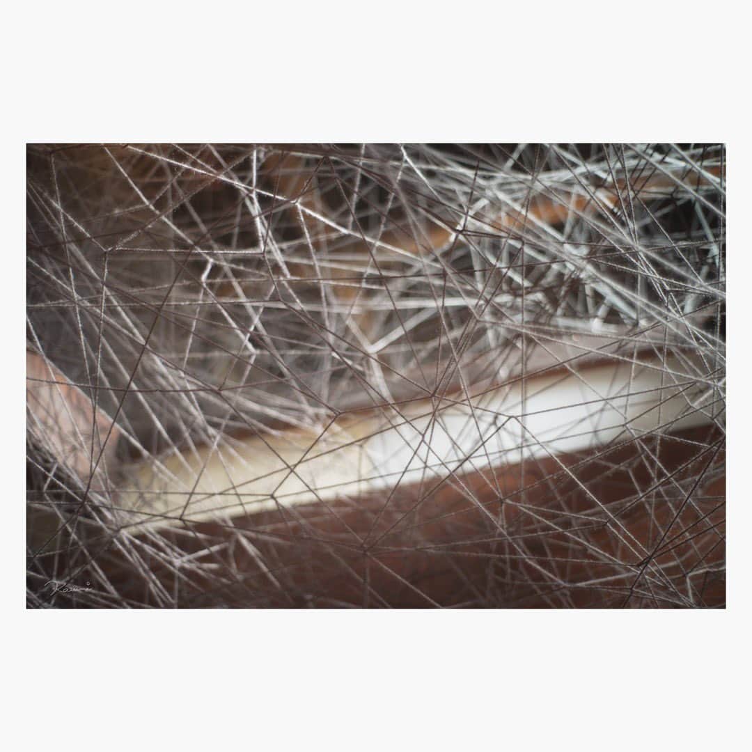 花澄さんのインスタグラム写真 - (花澄Instagram)「塩田千春「家の記憶」  北川フラムさんが 蜘蛛のお母さんのよう、と表現していた 塩田さんの作品は さすがの迫力で圧倒されました。 家全体が古い道具と共に 無数の糸で封じ込められ 留められている感じがすごくしました。 へーえ！ほーお！と何度も声が出ました。  たくさん見てきて感じるのは 量、数が多い、大きいは正義だなということ。 ファーストインプレッションは 大事だなとメモ。  Leica M10-P summilux 35mm f1.4 2nd  #leica#leicam10p#summilux#summilux35#summilux35mm2nd#oldlens#オールドレンズ#tokyo#japan#oldlens_tokyo#花澄#kazumiphotography」11月4日 18時54分 - textisan