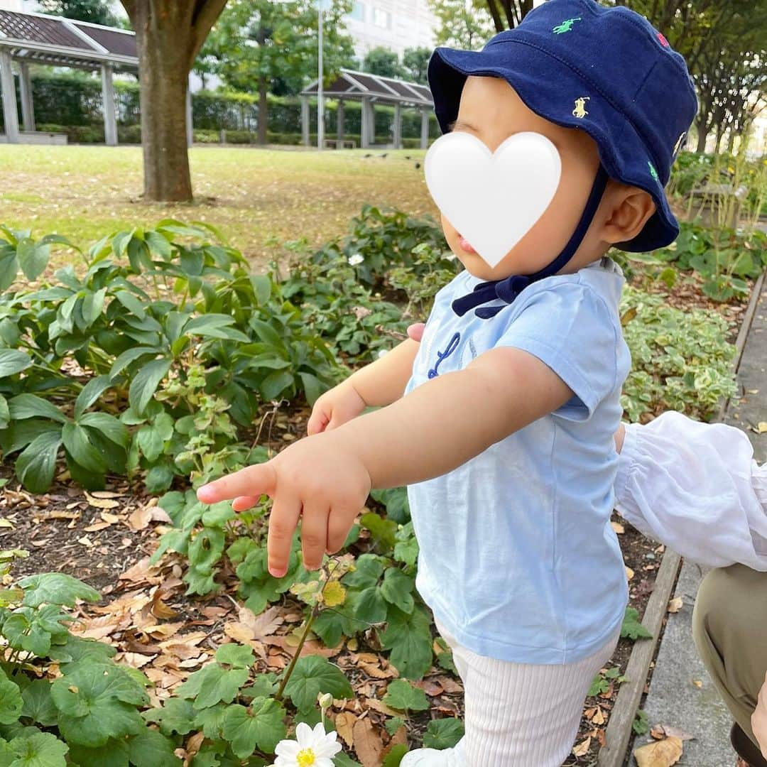 福山唯さんのインスタグラム写真 - (福山唯Instagram)「暑くて暑くてびっくり🫠☀️１１月なのに真夏の様😟  とーっても楽しかった🩵 初めましての噴水を見てびっくりしたり、たくさんたくさん歩いて大好きなボールで遊んで、綺麗なお花や草を見て⛲️⚽️🌼✨ ばーばも一緒の楽しい休日でした♡♡  久々の休日と広い公園にわたくし、そりゃたいへんたいへん張り切って✌️wヘトヘトになりましたw息子と遊具で遊ぶのが楽しみだなー🎵  #weekend #myson #ralphlauren #リンクコーデ　#ラルフローレン #ラルフリンク　#ママとぼーや　#男の子ママ　#公園　#公園コーデ　#楽しい休日　♡♡」11月4日 18時56分 - yuifukuyama