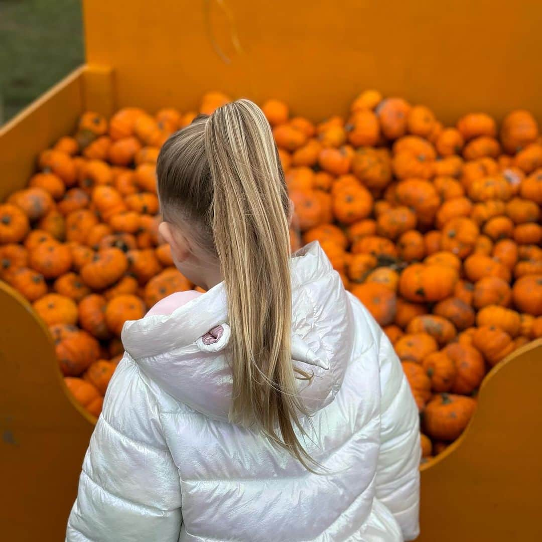 マックス・ウィットロックさんのインスタグラム写真 - (マックス・ウィットロックInstagram)「It's been a whirlwind of busy weeks. I've gradually returned to training, heaved countless pumpkins, late nights and early mornings working on @maxwhitlockgymnastics and good food #photodump 👍」11月4日 19時00分 - maxwhitlock