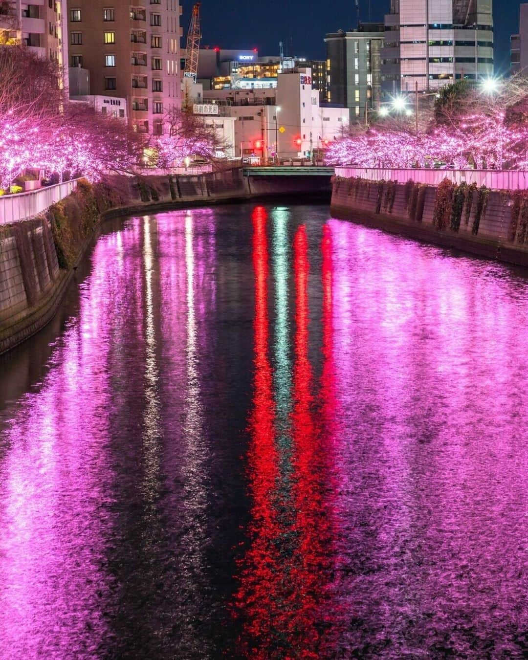 レッツエンジョイ東京さんのインスタグラム写真 - (レッツエンジョイ東京Instagram)「東京都内のイルミネーション5選💡✨ デートにもピッタリな冬の風物詩をぜひ楽しんでみて😊  📷1・2枚目 青の洞窟 SHIBUYA @aodo.jp 📅12/1(金)～12/25(月) 🔸渋谷公園通りから代々木公園ケヤキ並木 🚉渋谷  📷3・4枚目 目黒川みんなのイルミネーション2023 @minna_no_illumi 📅11/10(金)～2024/1/8(月・祝) 🔸品川区立五反田ふれあい水辺広場 🚉五反田  📷5・6枚目 TOKYO ILLUMILIA 📅11/7(火)～2024/2/14(水) 🔸日本橋･八重洲 さくら通り 🚉日本橋  📷7・8枚目 Roppongi Hills Christmas 2023 @roppongihillsofficial 📅11/6(月)～12/25(月) 🔸六本木ヒルズ 🚉六本木  📷9・10枚目 Baccarat ETERNAL LIGHTS-歓びのかたち- @yebisu_garden_place 📅11/11(土)～2024/1/8(月・祝) 🔸恵比寿ガーデンプレイス 🚉恵比寿  #レッツエンジョイ東京 #おでかけ #おでかけスポット #東京 #デート #デートスポット #東京観光 #東京イベント #期間限定イベント #冬 #イルミネーション #イルミネーション2023 #東京イルミネーション  #イルミネーションデート #クリスマス  #クリスマスデート #東京クリスマス  #夜景 #日本の風景 #ライトアップ #青の洞窟 #青の洞窟イルミネーション #目黒川みんなのイルミネーション #目黒川イルミネーション #TOKYOILLUMILIA #日本橋イルミネーション #けやき坂イルミネーション #六本木イルミネーション #baccarateternallights #バカラシャンデリア」11月4日 19時01分 - lets_enjoytokyo