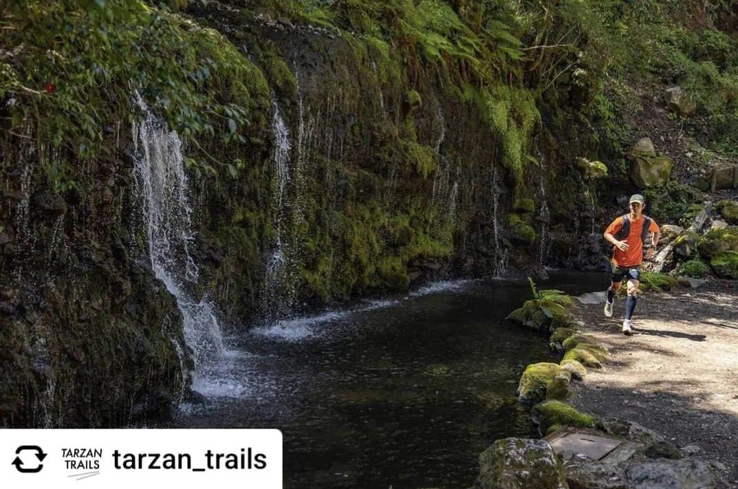 山下晃和のインスタグラム：「【TRAILRUN】Tarzan 最新号は『ハワイ』特集！  HAWAIIはかつてマヌアのウォーターフォールまでトレイルランしたことがあります  今回は箱根ですけどね！  #トレイルラン #トレイルランニング #trailrunning #trailrun #run  Posted @withregram • @tarzan_trails ウチサカ） 2004年。まだ「トレイルラニング」が「なにそれ？」の時代、「チームターザン」の石川弘樹さんが編集部にやって来ました。「行きましょうよ」と、まったく未経験の｢ターザン｣を連れ出したのが、この箱根湯坂路。  イチコロで「トレイルラニング」に夢中になりましたよ、翌年2005年から「この連載」を始めちゃうんですから。すべてはこの湯坂路から始まりました。19年ぶりに走ったけど、さすがは石川セレクトです、素晴らしいのなんの。詳しくは11月2日(木)発売号をご覧ください。撮影/石原敦志　https://tarzanweb.jp/post-296461」
