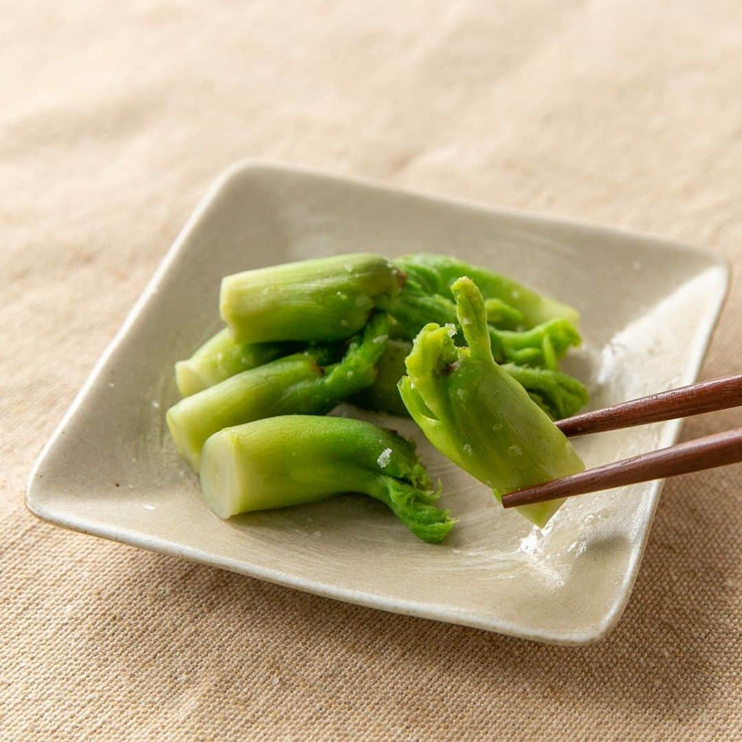 新潟直送計画のインスタグラム：「＼さわやかな風味ともっちり食感の山菜「タラの芽」⛰／ 新潟直送計画の通販でお届け！  ──────────────────── 新潟県産 タラの芽 IkeIkeファーム（十日町市） ────────────────────  十日町市にあるIkeIkeファームは、新潟県ではめずらしい畑作専門の農家です。 今回は、春が旬の山菜「タラの芽」をご紹介します。  タラの芽とは、ウコギ科のタラノキの新芽のこと。 全国の山に自生しており、「山菜の王様」として知られています。 「さわやかな風味ともっちりとした独特な食感が美味しい」と人気。 IkeIkeファームではハウス栽培しているため、冬から春にかけて長く出荷できますよ。  天ぷらやおひたしにしてお楽しみください！  新潟の「逸品」を全国へ！産地直送お取り寄せ通販・ギフトサイト⠀ ─────────────────── 新潟直送計画 /@niigata_shop ───────────────────  #新潟直送計画 #新潟名物 #新潟産 #新潟県 #新潟直送計画にあるよ #お取り寄せ #お取り寄せできます #通販 #通販できます #お取り寄せグルメ #新潟グルメ #産地直送  #タラの芽 #山菜 #タラの芽の天ぷら #タラの芽のおひたし #水耕栽培 #山菜の王様 #山の恵み #山菜の天ぷら #山菜好き #おうちご飯 #おうち時間  #IkeIkeファーム #新潟県十日町市 #十日町市」