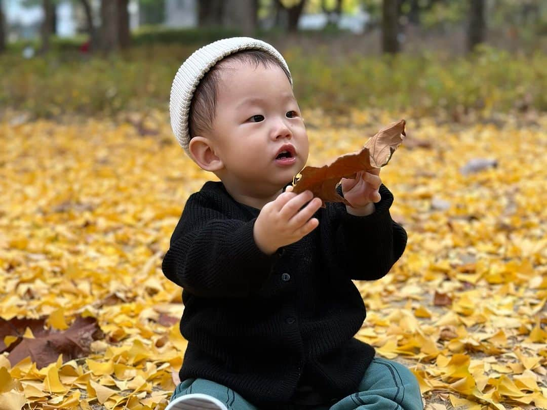 チョン・ヘビンさんのインスタグラム写真 - (チョン・ヘビンInstagram)「너와 두번째 가을🍁🍂」11月4日 19時33分 - heavenbin83