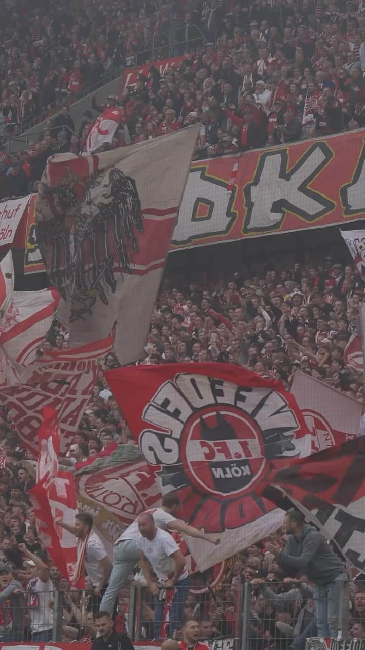 1.FCケルンのインスタグラム：「Auf 𝟑 𝑷𝒖𝒏𝒌𝒕𝒆 im Hexenkessel Müngersdorf! ❤️‍🔥 ___ #KOEFCA #effzeh」