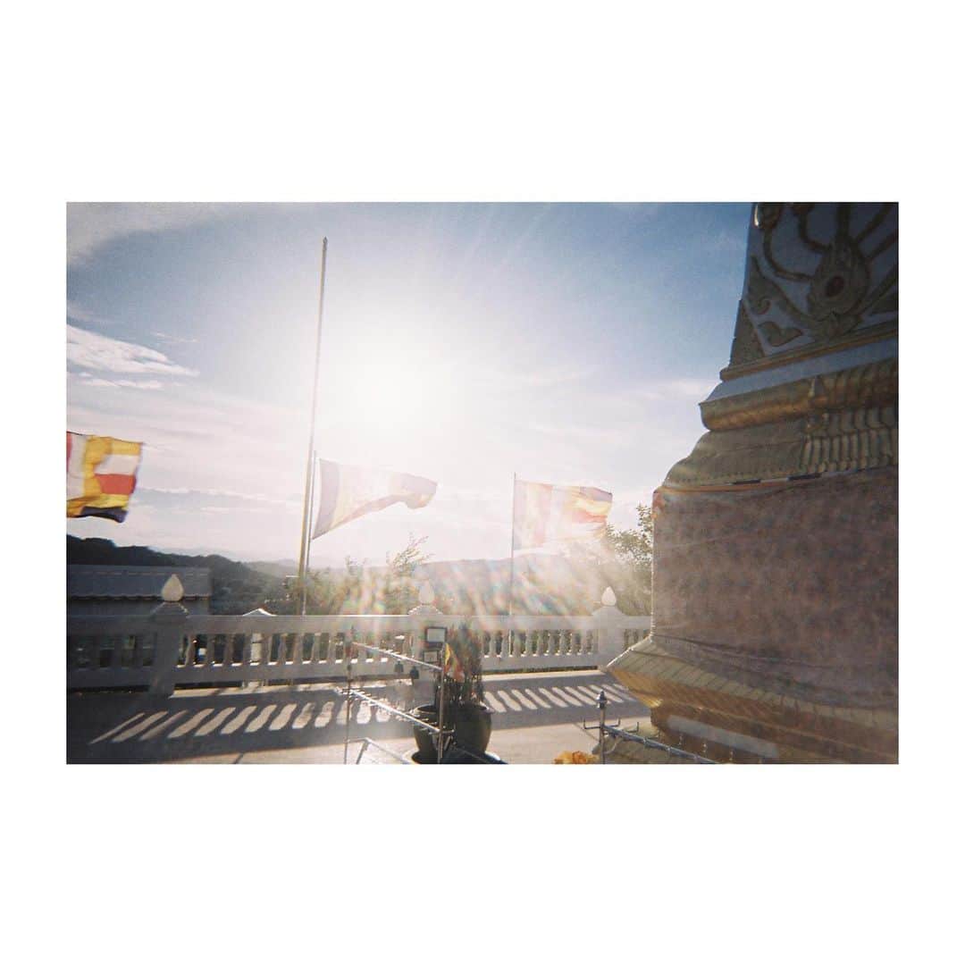 香音有希さんのインスタグラム写真 - (香音有希Instagram)「続・撮り溜めてたフィルムを日本で焼いてきたよ🎞️ . . #フィルムカメラ #📷 #filmphotography  #filmcamera  #thailand🇹🇭  #タイの風景」11月4日 19時32分 - kaonyuki_yukako