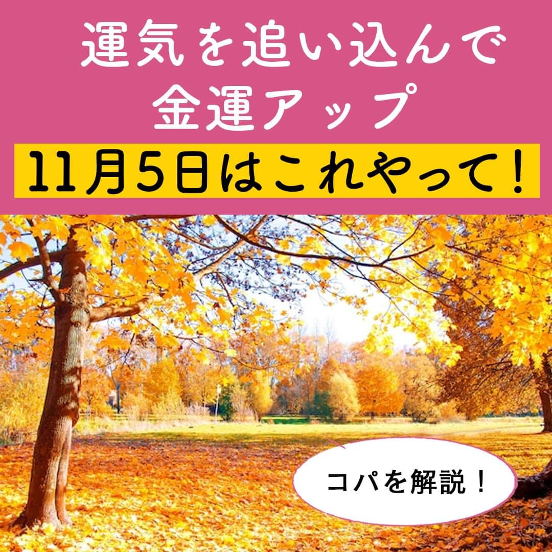 サンキュ！編集部のインスタグラム：「～ コパを解説！ 運気を追い込んで金運アップ 11月５日はこれやって！ ～ ＠39_editors  今年も残り2ヵ月。やり残したことはありませんか？  今年の開運キーワードは「派手め」✨✨✨  服装も派手で、華やかにして、持っているアクセサリーを引っ張り出してつけてみましょう💍🥻  今回は11月にやるべき開運アクションをご紹介します。  ーーーーーーーーーーーーーーーーーーーーー サンキュ！では素敵な暮らしを営むおうちや工夫をご紹介していきます。 ぜひフォローしてください。 @39_editors⠀⠀⠀⠀⠀⠀⠀⠀⠀⠀⠀⠀⠀⠀⠀⠀⠀⠀⠀⠀⠀⠀⠀⠀⠀⠀​ ーーーーーーーーーーーーーーーーーーーーー 〈教えてくれた人〉 Dr.コパさん "西に黄色で金運アップ”を日本中に広めた、ご存じ風水の伝道者。  #開運 #運気 #運気アップ #開運グッズ #開運行動 #幸運 #金運 #お金が貯まる #金運アップ #お金 #恋愛運 #対人運 #健康運 #お金 #貯金 #貯金テク #貯金術 #貯金方法」