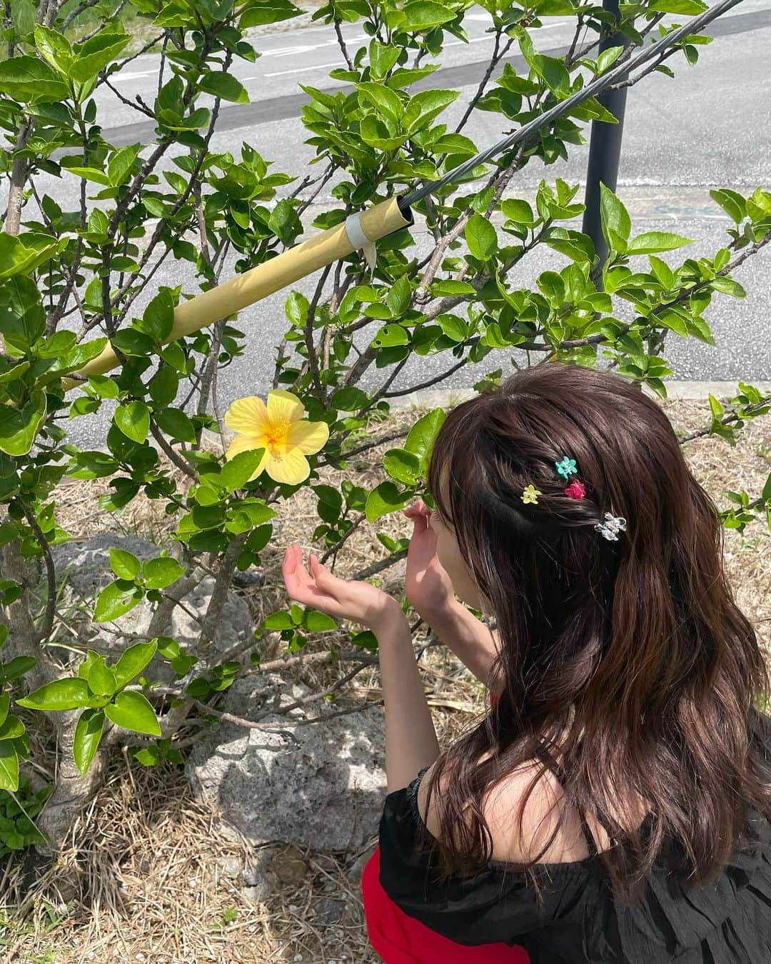 内木志のインスタグラム：「2024年のカレンダーは… 沖縄県の伊是名島で撮影してきました🌺 自然豊かで最高の撮影日和でした☀︎ また行きたいな〜🐐🐈🐟 ... 12月9日(東京)、1月27日(大阪)にてカレンダーお渡しイベントがあります📅 東京のゲストに梅山恋和ちゃん @cocona_umeyama  大阪のゲストに上枝恵美加さん @emika_kamieda が来てくださいます🤍 年内ラストのイベントと新年最初のイベント是非遊びに来てください🥰 #カレンダー2024 #沖縄県 #伊是名島」