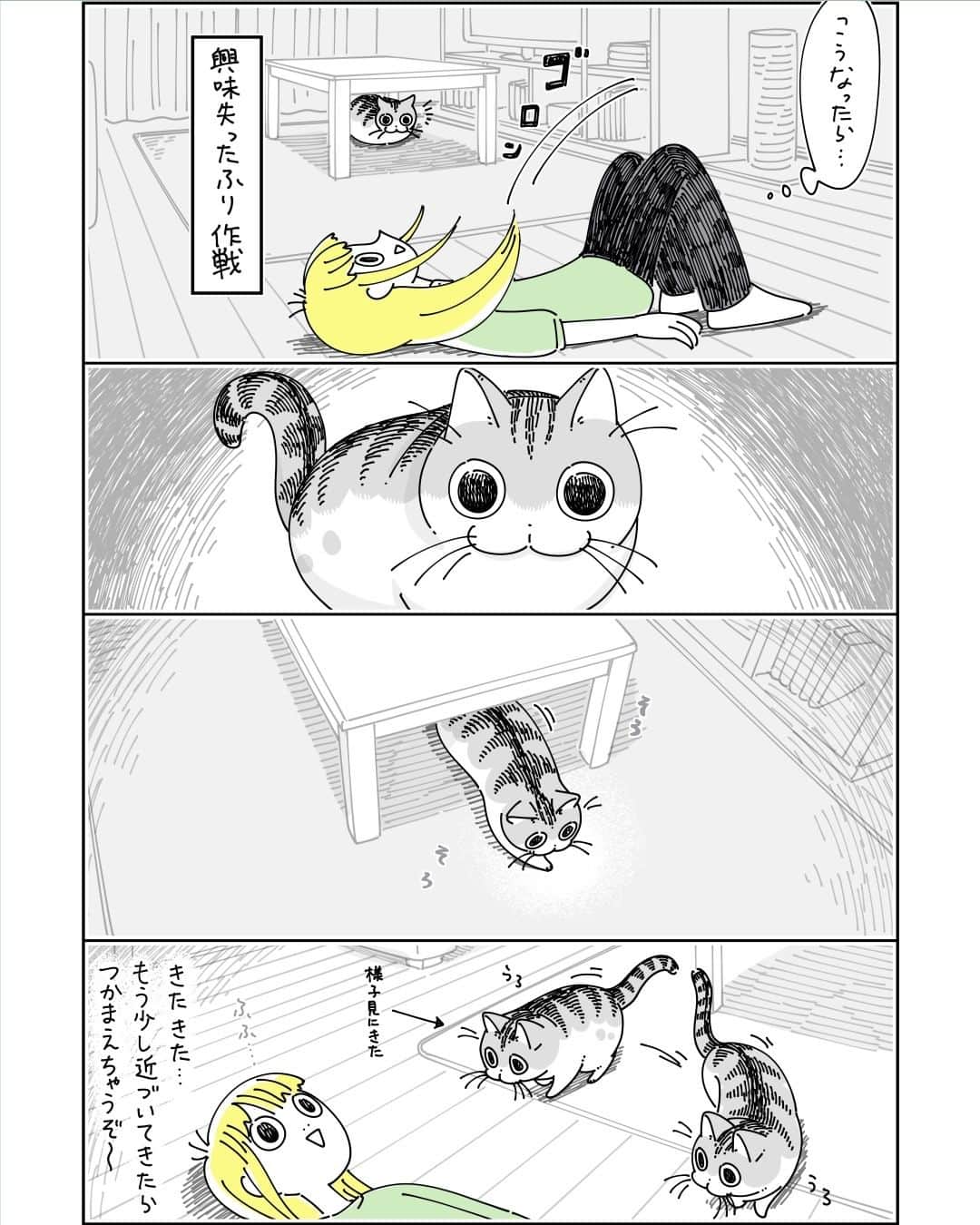 キュルZさんのインスタグラム写真 - (キュルZInstagram)「つかまらないネコ  #キュルガ #夜は猫といっしょ #猫 #cat #猫漫画 #猫のいる暮らし」11月4日 20時07分 - kyuryuz