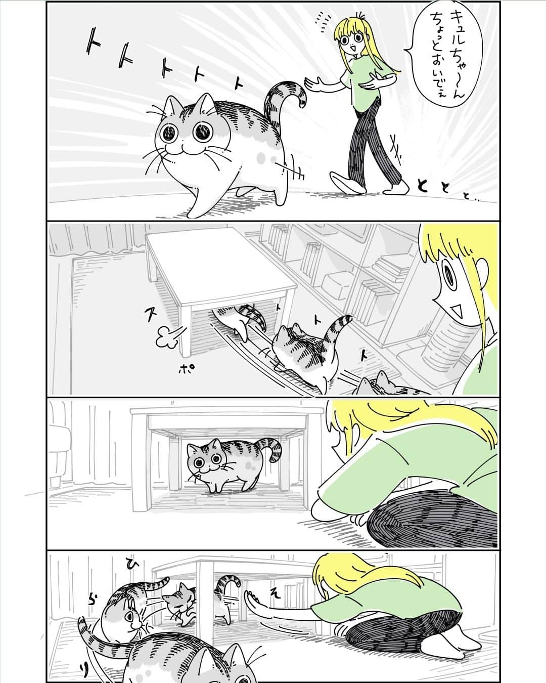 キュルZのインスタグラム：「つかまらないネコ  #キュルガ #夜は猫といっしょ #猫 #cat #猫漫画 #猫のいる暮らし」