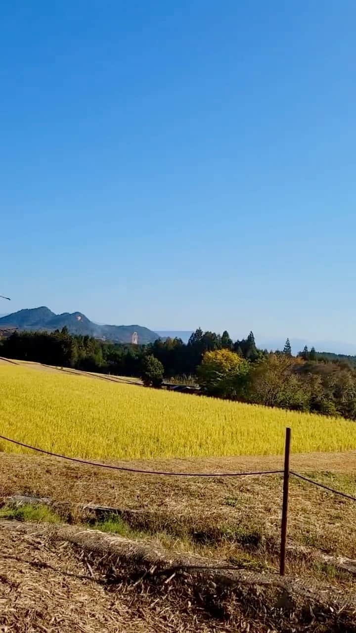 恵那栗工房　良平堂のインスタグラム：「🌾秋らしい景色になってきました🌾 ⁡ 栗カフェにも秋がやってきました🍁 テラス席から紅葉の始まりや黄金色の稲穂が望めます🌾✨ 四季折々の表情を望みながら、栗カフェでまったりしていきませんか？  皆様のお越しを心よりお待ちしております😌  ┈┈┈┈┈┈┈┈┈┈┈┈┈┈┈⁡ 🌰恵那栗工房 良平堂 栗カフェ 〒509-7201 岐阜県恵那市大井町2714-66 営業時間：10:00〜16:00 定休日：水曜日 TEL：0573-26-0703 ┈┈┈┈┈┈┈┈┈┈┈┈┈┈┈ @ryouheido #良平堂 #ryouheido #良平堂栗カフェ #栗カフェ #栗きんとん #栗福柿 #栗きんとんモンブラン #栗ソフト #和栗 #栗スイーツ #くり #和カフェ #オープン #岐阜県 #恵那市 #サイクルスタンド設置店 #テラス席ワンちゃんOK #テラス席ワンコok」