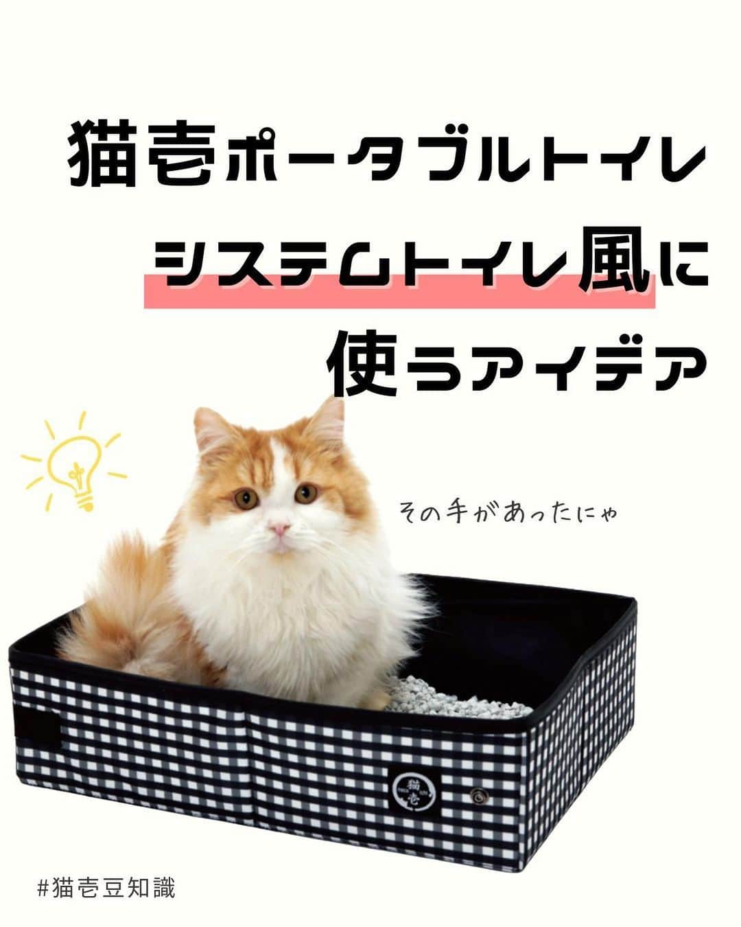 猫壱（ねこいち•ネコイチ）さんのインスタグラム写真 - (猫壱（ねこいち•ネコイチ）Instagram)「お客様のアイデアがきっかけ💡 猫壱ポータブルトイレをシステムトイレ風に使うアイデアをご紹介します👍✨   :::::::::#猫壱 :::::::  猫壱は\猫が幸せ、私も幸せ/をモットーに猫グッズの開発に取り組んでいます♪ ▫ 気になる方は @necoichicojp をチェックしてみてくださいね！ ▫  ................................................  #猫壱豆知識#猫壱#necoichi#豆知識#ねこと暮らす #猫の幸せ#ポータブルトイレ#ポータブルケージ」11月4日 20時14分 - necoichicojp