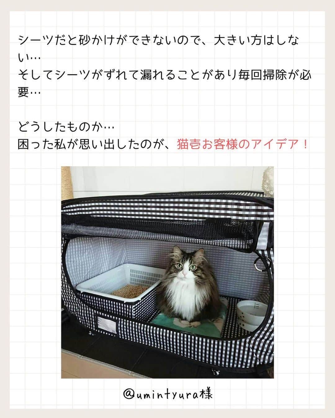猫壱（ねこいち•ネコイチ）さんのインスタグラム写真 - (猫壱（ねこいち•ネコイチ）Instagram)「お客様のアイデアがきっかけ💡 猫壱ポータブルトイレをシステムトイレ風に使うアイデアをご紹介します👍✨   :::::::::#猫壱 :::::::  猫壱は\猫が幸せ、私も幸せ/をモットーに猫グッズの開発に取り組んでいます♪ ▫ 気になる方は @necoichicojp をチェックしてみてくださいね！ ▫  ................................................  #猫壱豆知識#猫壱#necoichi#豆知識#ねこと暮らす #猫の幸せ#ポータブルトイレ#ポータブルケージ」11月4日 20時14分 - necoichicojp