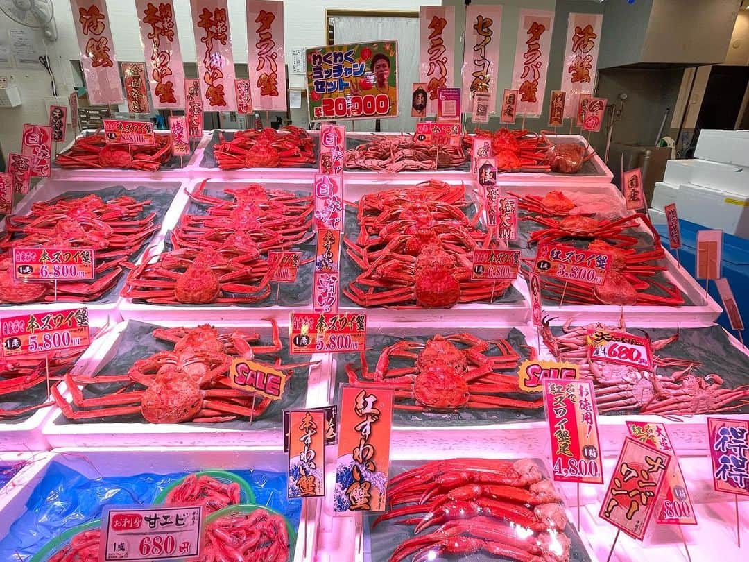たかまつななさんのインスタグラム写真 - (たかまつななInstagram)「福井県敦賀市堪能しました！蟹刺し、甘くて美味しかったです！！市場、さかなまちにも行ってきました！お刺身も美味しすぎたので買いました☺️ 家着いたら、食べるの楽しみ✨　たくさんサービスしていただき、1人で食べきるの大変！」11月4日 20時39分 - takamatsunana