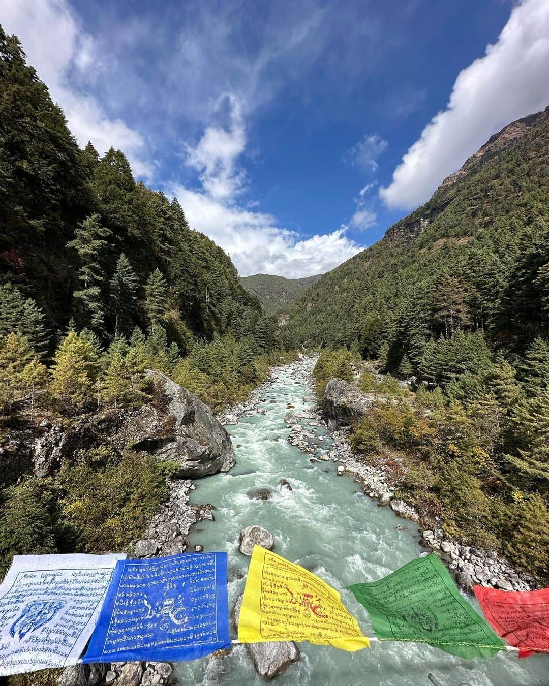 Delia Matacheさんのインスタグラム写真 - (Delia MatacheInstagram)「🥰 #nepal」11月4日 20時50分 - delia