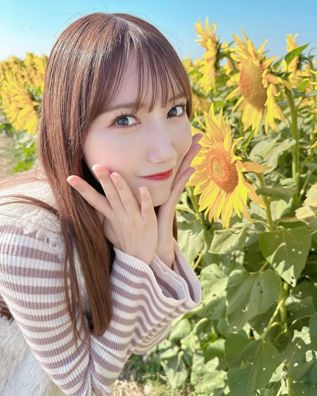 田中菜津美さんのインスタグラム写真 - (田中菜津美Instagram)「. この時期に満開のひまわり見れた🌻 . 奥にはコスモス畑もあったよ🌸 . #ひまわり #ひまわり畑 #佐賀 #佐賀空港  #佐賀空港コスモス園 #景色 #コスモス畑 #九州」11月4日 21時08分 - natsumitanaka_0810