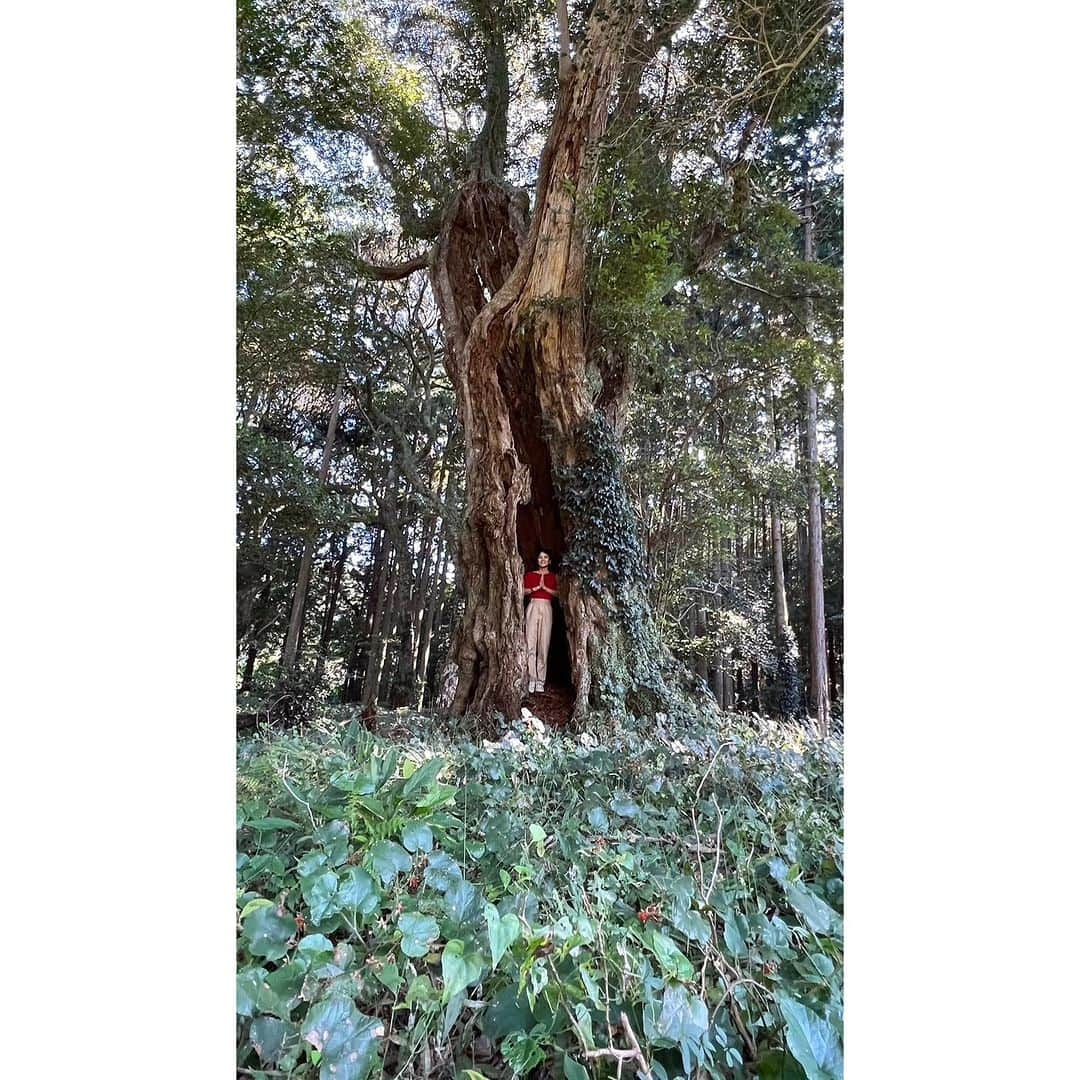 桃生亜希子のインスタグラム：「旅の締めくくりに、Rumiさんから教えていただいた近くの神社へお参りに行った。 　するとそこには、『千と千尋の神隠し』のような世界が拡がっていた。🌱🍀🌿🐉 　 　本当は奇跡は、いつでもそこにあってサインを送っているのに、日常の何かにかまけ、私達が気づいていないだけなのかも知れない。  　ただ奇跡の周波数に自分達が合った時は、惜しげもなくその姿を見せてくれるのかも。 　 　11月の始まり。 　新しい流れを感じれた不思議な旅だった。🙏🛸🌈⛩️❤️✨  #天神社　#南伊豆」