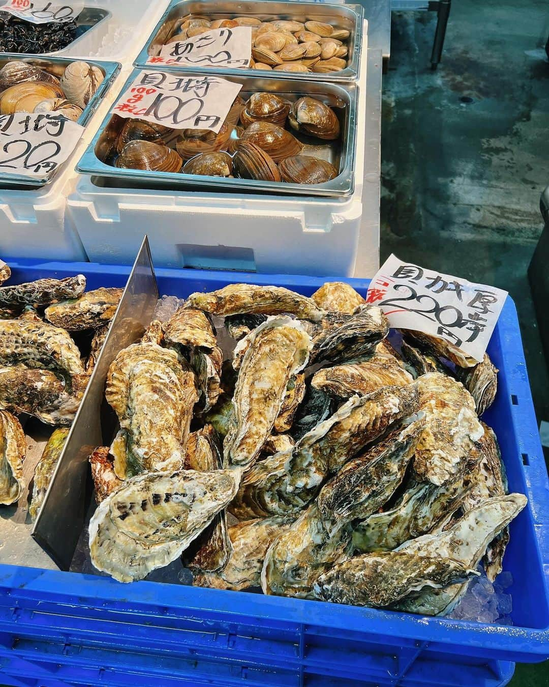 佐藤栞里さんのインスタグラム写真 - (佐藤栞里Instagram)「. お仕事で北海道の釧路に行ってきました🦌 2日間の撮影を無事終えて 翌日の飛行機までの時間を ごはんごはんなんてったってごはん！ 食べる前からその美しさと迫力に感動して (ぴっかぴかのいくらインカのめざめの鮮やかすぎる黄色にそしてこんなの見たことないぷっくら秋刀魚に溢れんばかりの花咲がににうるうるの白子などなどなどなど🥺) そして食べたらもうびっくりたまげました おいしくておいしくて！ 一皿一皿に北海道がぎゅっとつめこまれていて🐮 幸せをたーんまりたらふくいただいて🫶 おいしかったね、来られて本当によかったねって 口癖のように繰り返した帰り道でした☺️ #食事処勢㐂 #釧路和商市場 #食い処鮭番屋」11月4日 21時24分 - satoshiori727