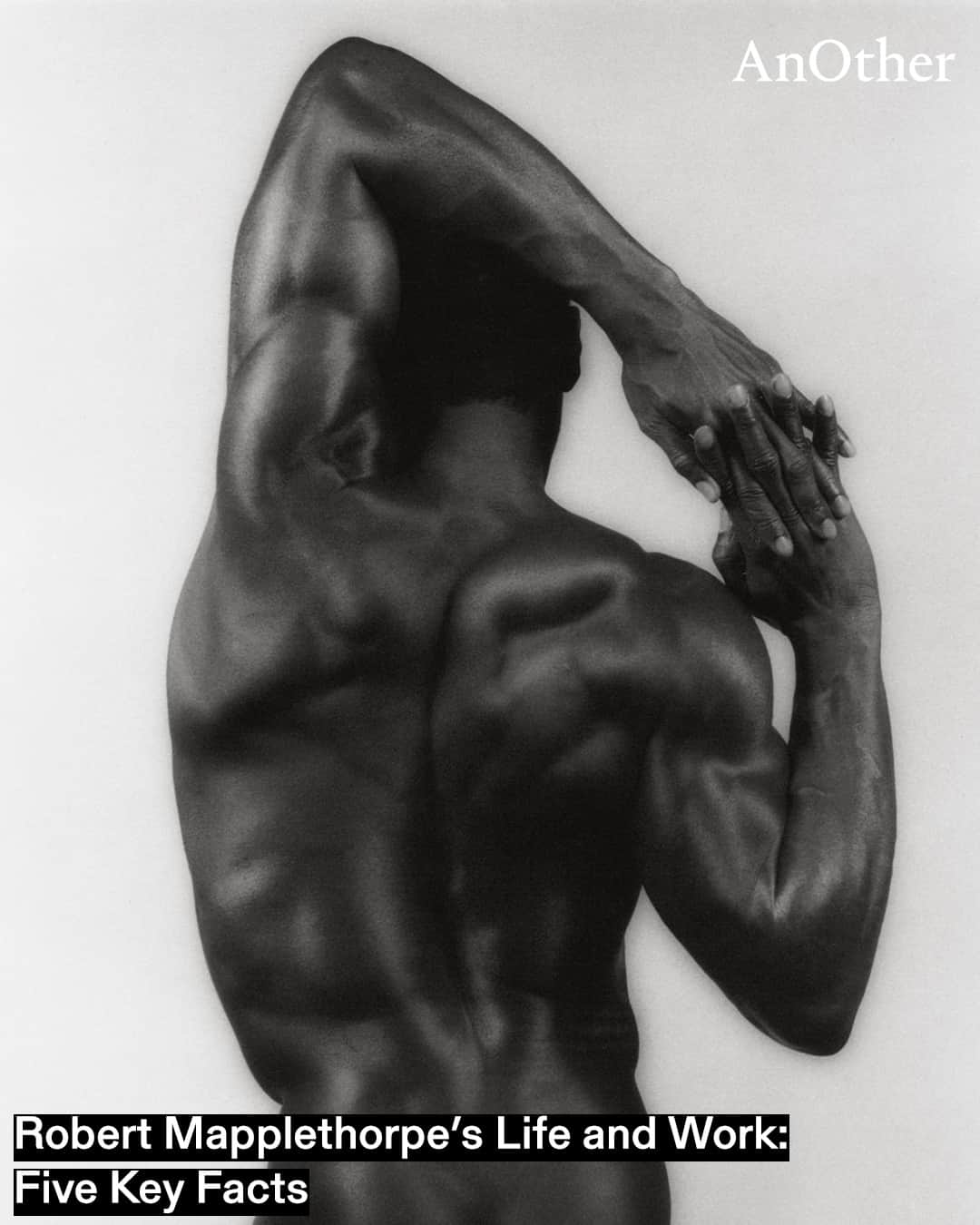 AnOther Magazineのインスタグラム：「On what would have been Robert Mapplethorpe's birthday, we're celebrating his sensual vision with AnOther’s top five facts about the photographer 🖤⁠ ⁠ See more at the link in bio 📲⁠ ⁠ 📸 Photography by #RobertMapplethorpe @robertmapplethorpefoundation⁠ 1. The Black Book, 1988⁠ 3. Flowers, 1988⁠ 5. The Black Book, 1988⁠ 7. Flowers, 1988⁠ 9. Flowers, 1988」