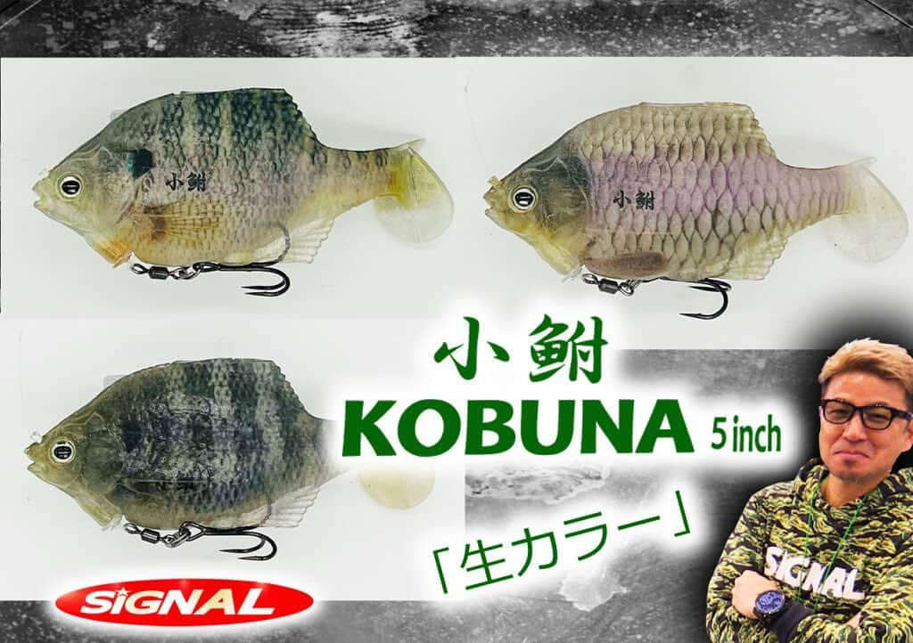 LureNews.TVさんのインスタグラム写真 - (LureNews.TVInstagram)「【本物の魚より本物っぽい】ロボ奥田「KOBUNA (小鮒) 5in」に生カラー3色が登場  https://www.lurenewsr.com/287177/  #ルアーニュース #ロボ奥田 #奥田学 @okuda_manabu  @signallure_official」11月4日 21時30分 - lurenews