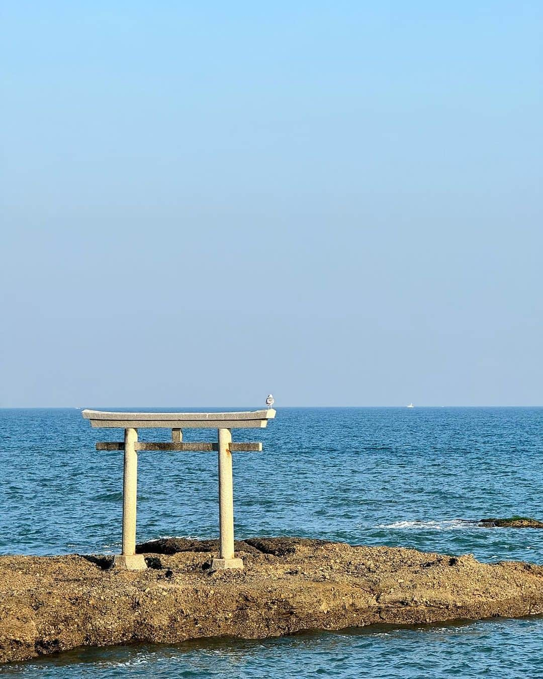 ほしのこさんのインスタグラム写真 - (ほしのこInstagram)「久しぶりに家族で遠出…♡ 大好きな大洗⛩   📍 #大洗磯前神社  📍 #大洗市場  📍 #大洗たかはし  📍 #かじま」11月4日 21時33分 - hoshinoko728