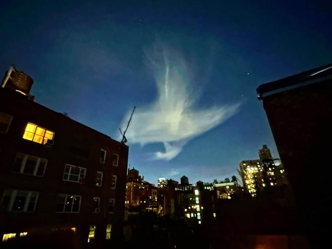 JULIEN D'YSのインスタグラム：「Hier soir dans le ciel de New York midnight .novembre 3.2023 pour SIMONE 🕊️ #newyork my aunt Simone die the 3 November 2023 R.I.P 🕊️🙏🏻💔 peace ☮️」