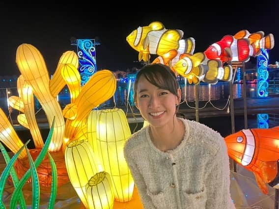 浦口史帆のインスタグラム：「ラグナシアで毎年恒例の  #イルミネーション が始まりました🥰✨  今年のテーマは「生命の光」 空・海・陸、3つのエリアで展開しています💎  💎雲海やオーロラも表現した「空のエリア」のショーは圧巻👏☁️💫 (動画を少しだけお見せします👀)  💎色とりどりの海の生き物たちが出迎えてくれる「海のエリア」では、やわらかいランタンの灯りに癒されます‥🐠🐢🪸🧜  💎「陸のエリア」では、#クリスマスマーケット🍷や360℃楽しめる3Dマッピングショーも🎅🎄✨  きらめく光で彩られた園内を歩いていると、 今年もこの季節がやってきたなあ‥☺️💓 と胸がときめきました🤭🌟  どうぞあたたかい服装でお出かけください🧶  #イルミネーション2023 #蒲郡 #ラグーナテンボス #ラグナシア」