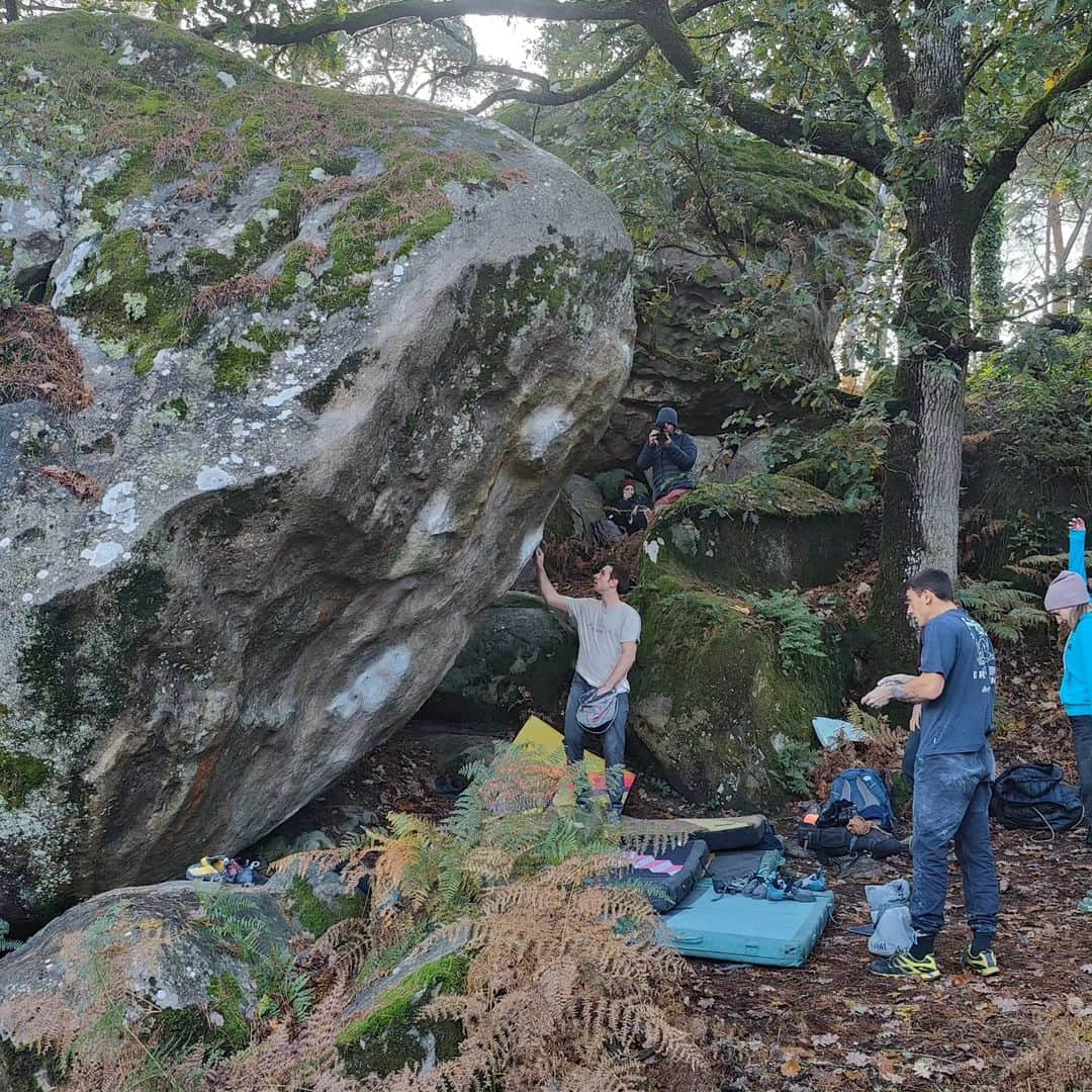 スターシャ・ゲージョさんのインスタグラム写真 - (スターシャ・ゲージョInstagram)「Ah Fontainebleau. Not the best weather this trip, only two proper climbing days, where I lost all my skin and power. I sent nothing proper, only Crème Brulé 7C 2nd try. Furthermore, I still haven't recovered from the European Qualifiers in Laval, taking both a physical and mental toll. Recovery takes time and one needs to be forgiving and kind to self. Which is not easy, when one is driven to achieve more and more.   It was still a great time with my friends, some climbing, cooking, getting free German language tutors, having silly conversations, messing around and throwing very bad jokes at each other. Photos by @flixen_bal. Thanks, crew ❤️」11月4日 22時06分 - gejostasa