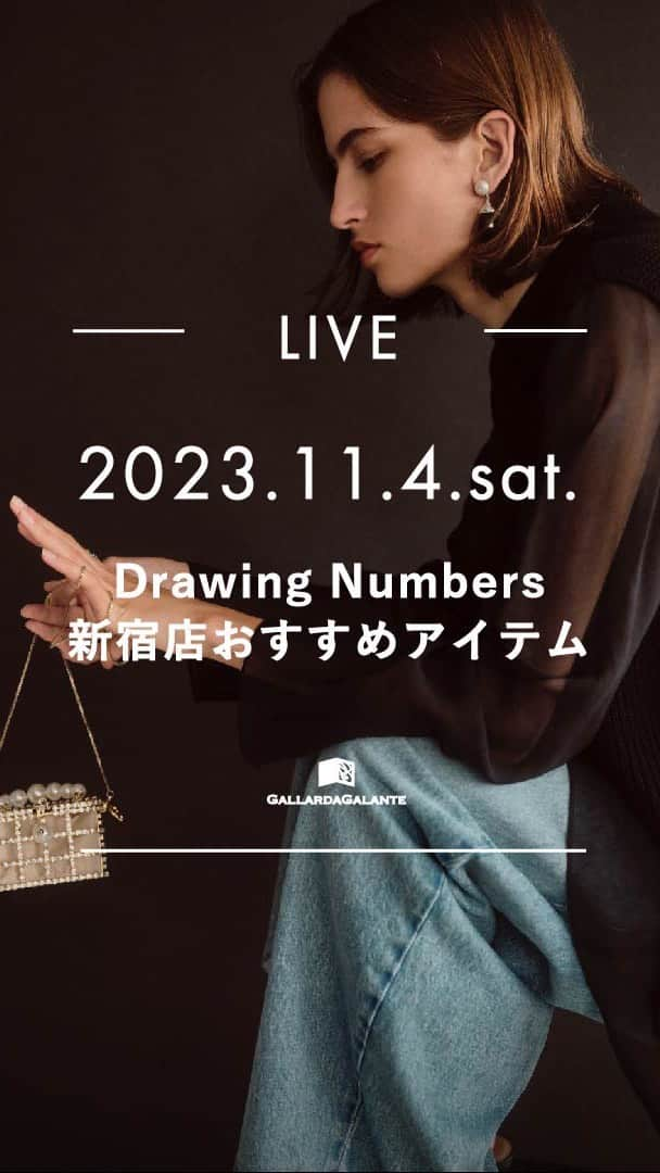 gallardagalanteのインスタグラム：「Drawing Numbers新宿店アイテム  ◾️ルミネカード10％オフキャンペーン 11月9日(木)〜15日(水)  同期間にてPOPUP開催中！ ◾️ @hirotakajewelry  ◾️ @inscrire_official  ◾️ @afterhours_label_official   〜19日までは ライフスタイルのイベントもしております。 ◾️ @casa_gallardagalante   @dn_momoko 154cm @dn_hashimo  158cm  #drawingnumbers #ドローイングナンバーズ #新作アイテム」