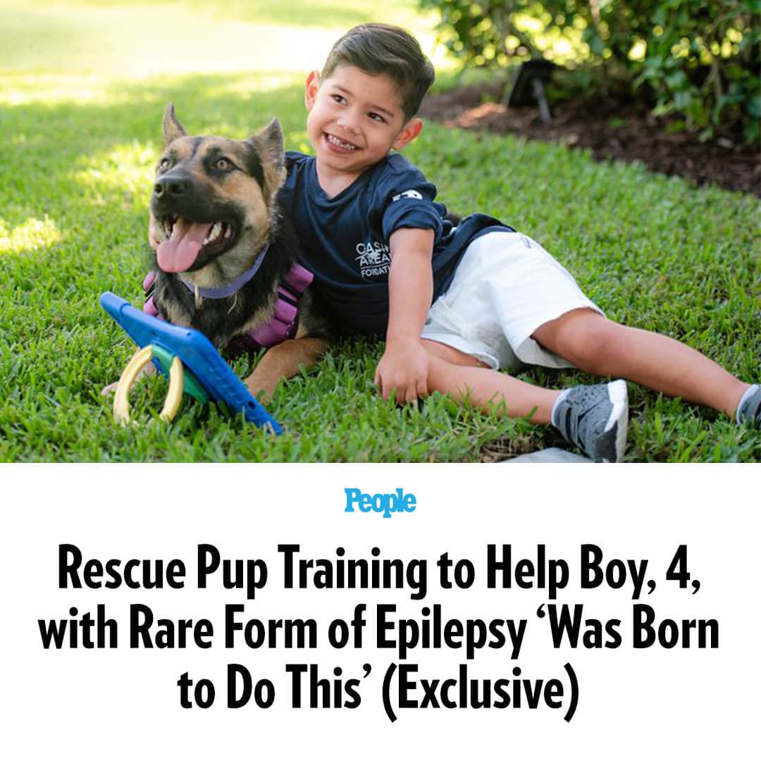 People Magazineのインスタグラム：「Diagnosed with Dravet syndrome as an infant, Giovanni Bajer will likely have seizures for the rest of his life — pup Gracie ensures he won't face them alone.  Rescue German shepherd Gracie instinctively started helping the 4-year-old from the moment she met him. "When Giovanni screamed, cried, and threw his tablet, Gracie didn't flinch or run away," his mom Danitza Bajer, 34, says. "Gracie instinctively put her head into my son, licked his face, and comforted him."  "I said, 'Wow! That is our dog,'" she adds of Gracie's adoption day. Tap the link in bio for the full story. 📷: Lori Griffith」