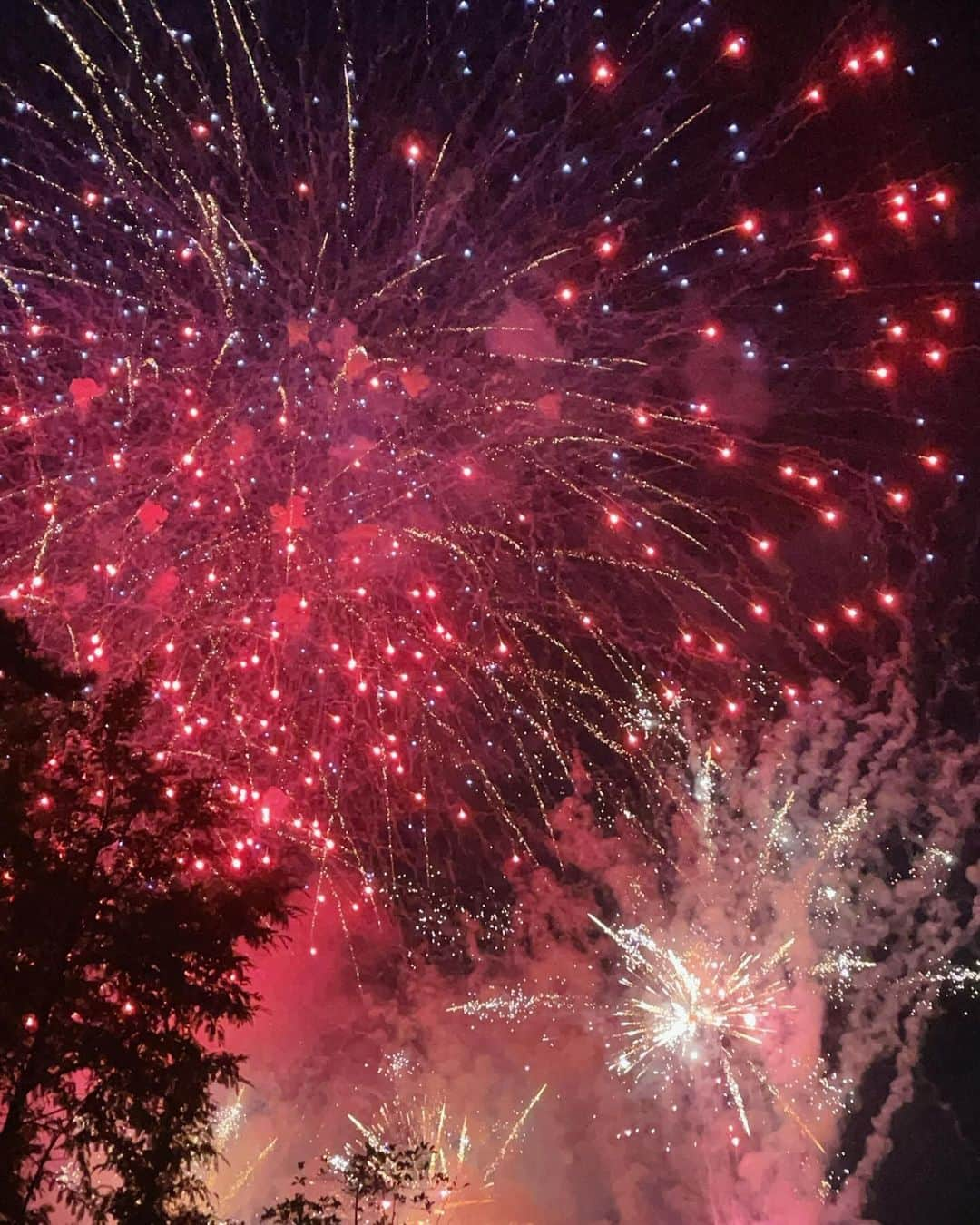 スアのインスタグラム：「불꽃이 날 설레이게해 🎇🎆..✨」