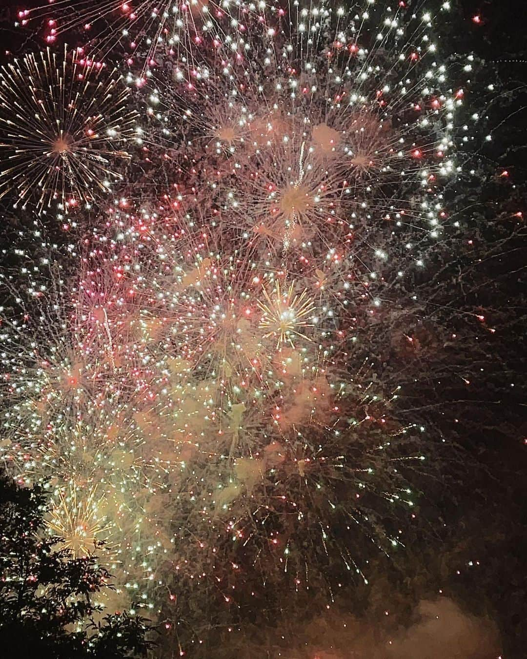 スアさんのインスタグラム写真 - (スアInstagram)「불꽃이 날 설레이게해 🎇🎆..✨」11月4日 22時35分 - midoricoo