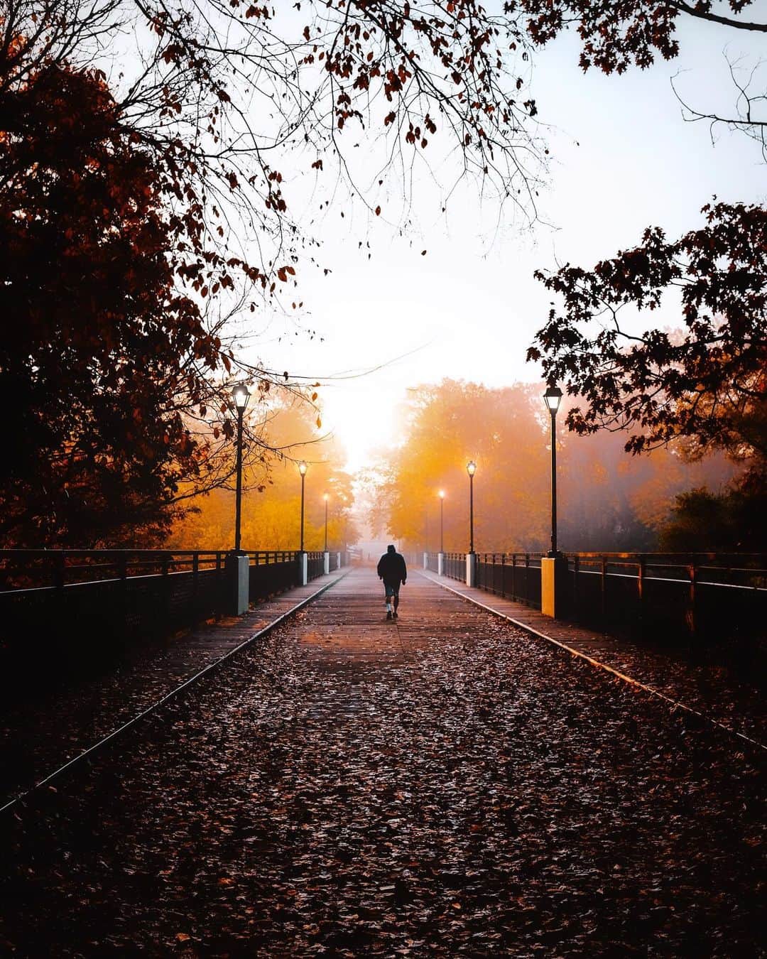 kaelのインスタグラム：「Sometimes, carrying on, just carrying on, is the superhuman achievement. - Albert Camus」