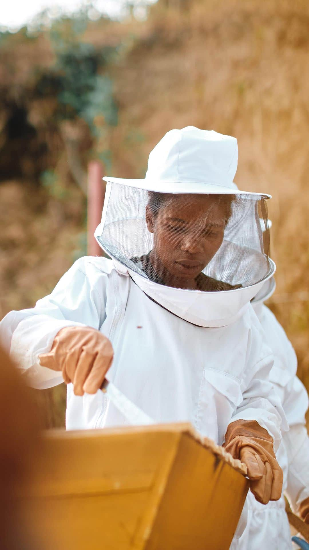 ゲランのインスタグラム：「Three years after launching the pioneering #WomenForBees network, @Guerlain and @UNESCO are proud to introduce you to the latest cohort of trainee beekeepers. Get an inside look at this story of empowerment, sustainability, and conservation, set in Gishwati-Mukura Landscape #BiosphereReserve in Rwanda.  —— #Rwanda #Bees #SaveTheBees #GuerlainForBees #UNESCO」