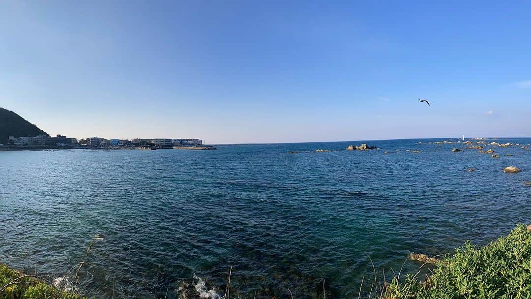 松田洋治さんのインスタグラム写真 - (松田洋治Instagram)「今日は息子達の活動のフォローで早朝から三浦半島の海岸をあちらこちらと。天気も最高で。でも11月、、」11月4日 22時42分 - youjimat