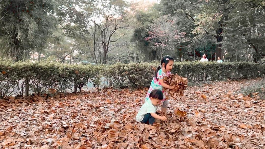 肘井美佳のインスタグラム：「The best Autumn activity.  秋の遊び  #autumn #sisterandbrother  #秋 #落ち葉遊び #姉弟 #スローモーション」