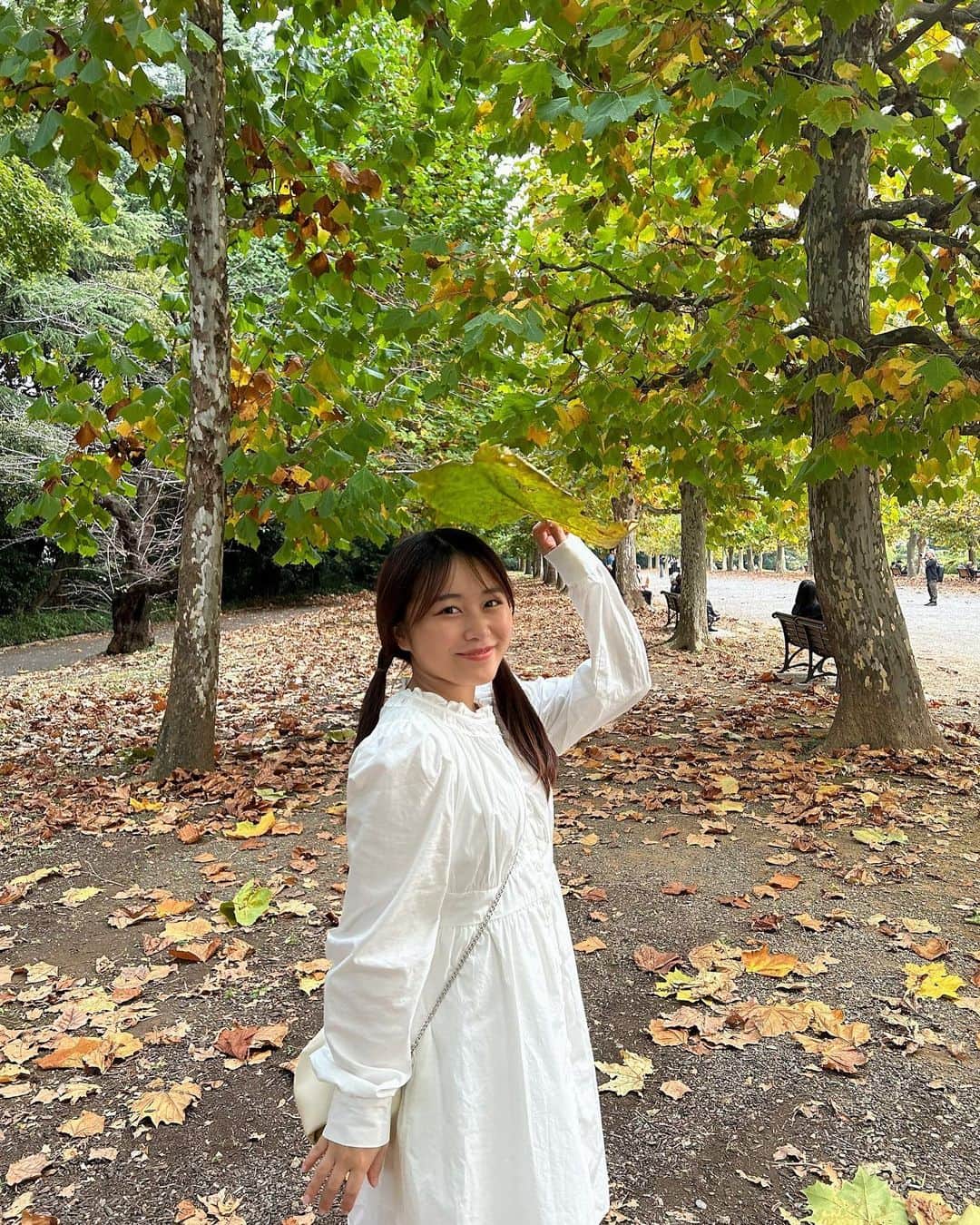島崎友莉亜のインスタグラム：「フォレストタイム🌳  #新宿御苑 #ポプラ並木」