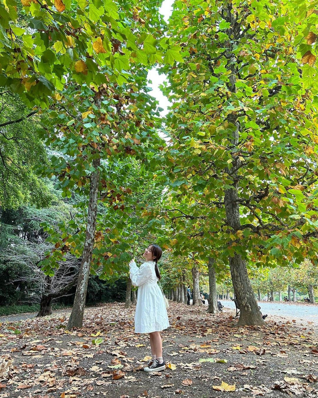 島崎友莉亜さんのインスタグラム写真 - (島崎友莉亜Instagram)「フォレストタイム🌳  #新宿御苑 #ポプラ並木」11月4日 22時54分 - yuria_shimazaki_uug2ki