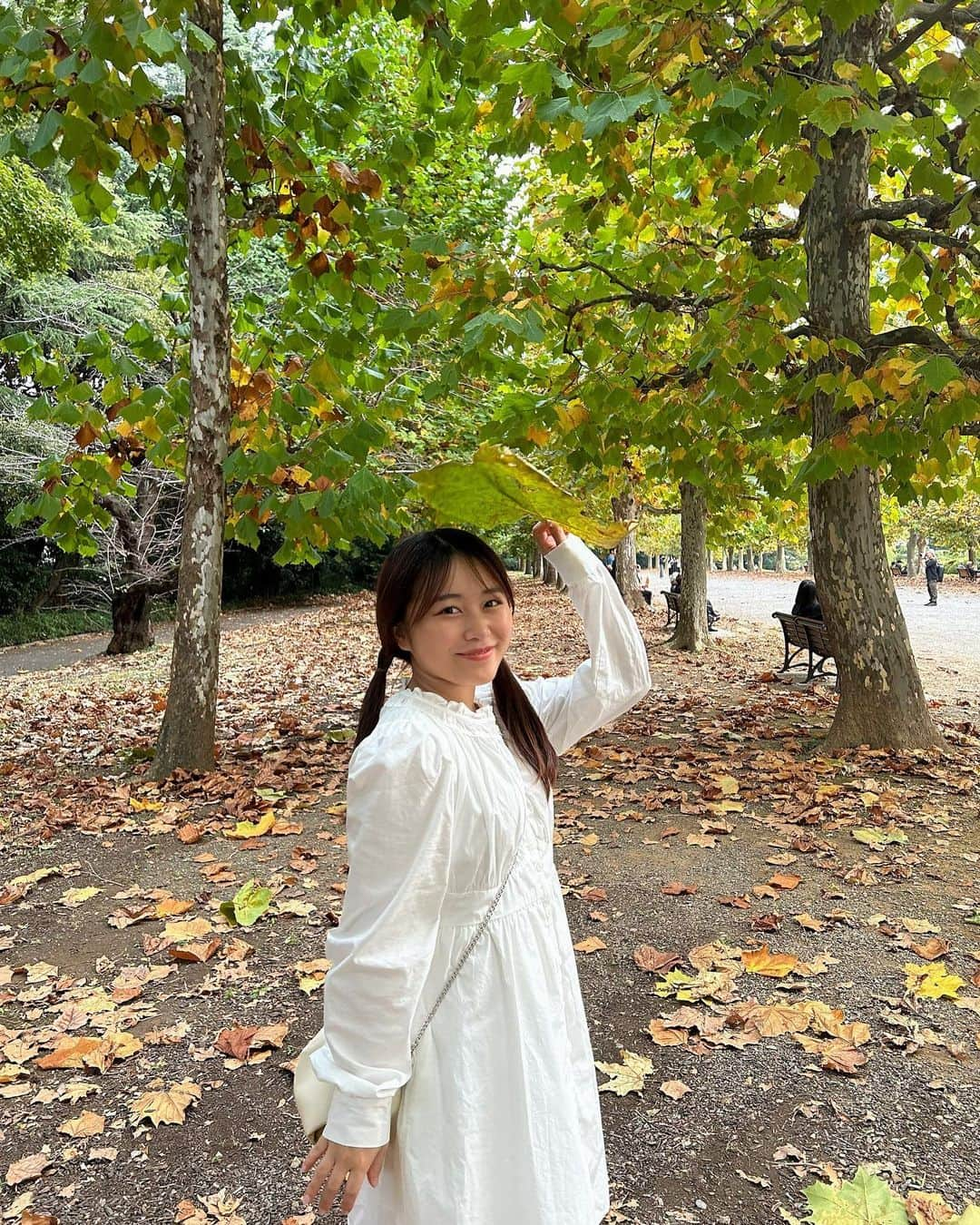 島崎友莉亜さんのインスタグラム写真 - (島崎友莉亜Instagram)「フォレストタイム🌳  #新宿御苑 #ポプラ並木」11月4日 22時54分 - yuria_shimazaki_uug2ki