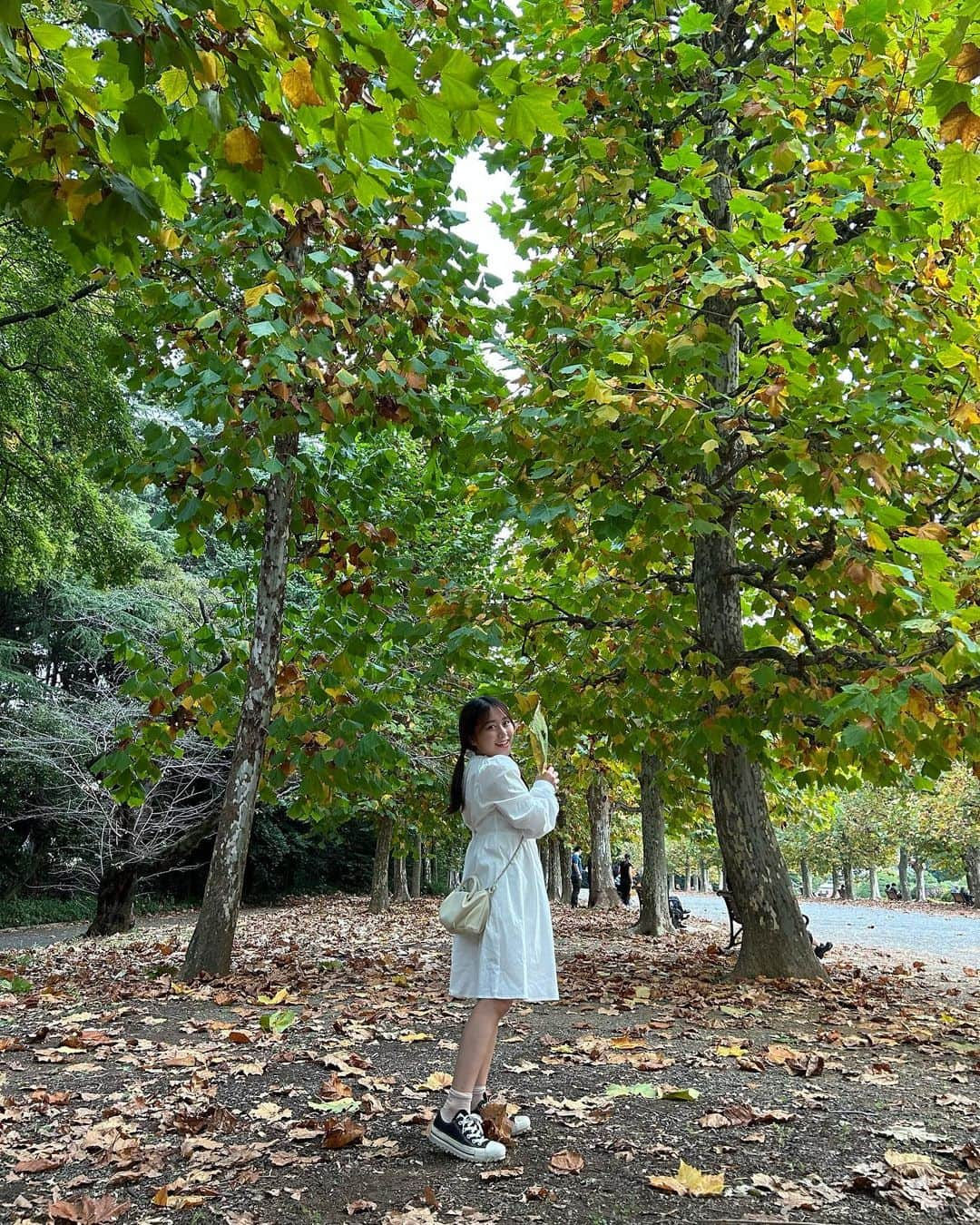 島崎友莉亜さんのインスタグラム写真 - (島崎友莉亜Instagram)「フォレストタイム🌳  #新宿御苑 #ポプラ並木」11月4日 22時54分 - yuria_shimazaki_uug2ki