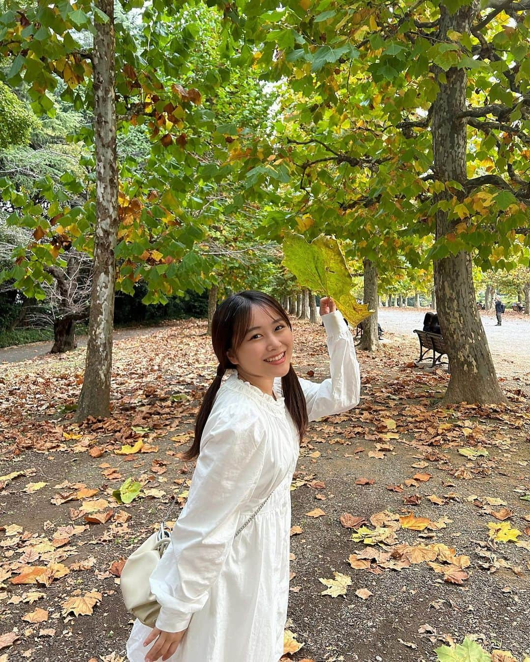 島崎友莉亜さんのインスタグラム写真 - (島崎友莉亜Instagram)「フォレストタイム🌳  #新宿御苑 #ポプラ並木」11月4日 22時54分 - yuria_shimazaki_uug2ki