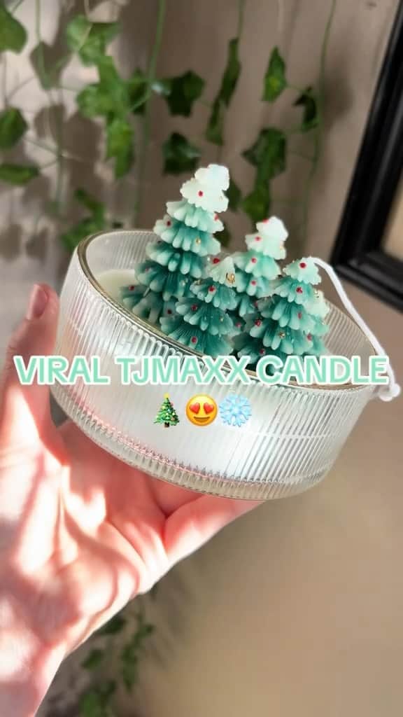 のインスタグラム：「almost too cute to burn 🎄🕯️@zoe_brill」